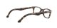 Ray-Ban RX 5228 2012