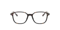 Ray-Ban Leonard RX 5393 2012