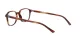 Ray-Ban Leonard RX 5393 2144