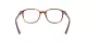 Ray-Ban Leonard RX 5393 2144