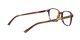 Ray-Ban Leonard RX 5393 2144