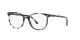 Ray-Ban Elliot RX 5397 8117