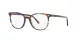 Ray-Ban Elliot RX 5397 8174