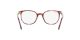 Ray-Ban Elliot RX 5397 8175