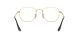 Ray-Ban Hexagonal RX 6448 2991