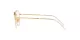 Ray-Ban Jack RX 6465 3136