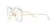 Ray-Ban Aviator RX 6489 2890