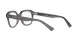 Ray-Ban Erik RX 7215 8257