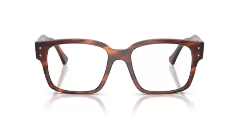 Ray-Ban Laurene RX 7256 8315