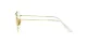 Ray-Ban Hexagonal RX 8148V 1225