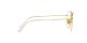 Ray-Ban Hexagonal RX 8148V 1225