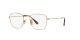 Ray-Ban Frank RX 8157V 1226