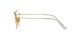 Ray-Ban RX 8165V 1225