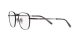 Ray-Ban Frank Titanium RX 8258V 1237