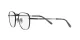Ray-Ban Frank Titanium RX 8258V 1237