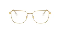 Swarovski SK 1003 4004