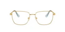 Swarovski SK 1003 4021
