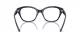 Swarovski SK 2038 1004