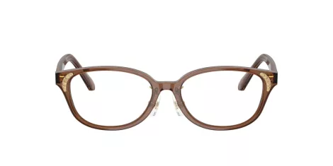 Swarovski SK 2040D 1067