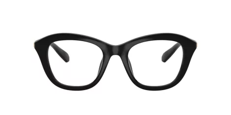 Swarovski SK 2042U 1001