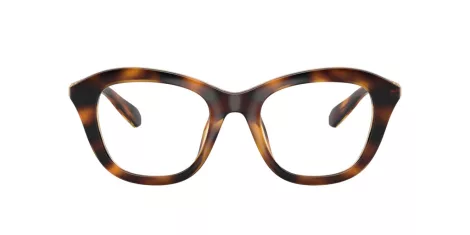 Swarovski SK 2042U 1002