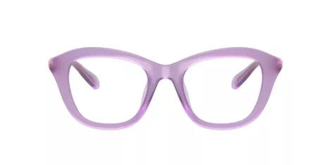Swarovski SK 2042U 1075