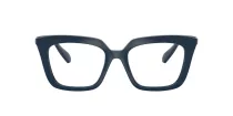 Swarovski SK 2043 1004