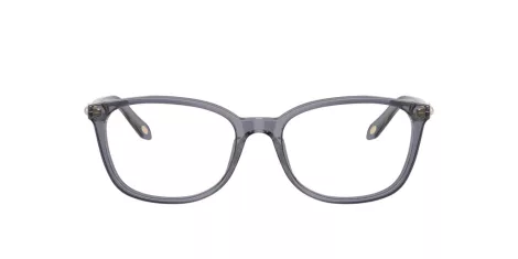 Tiffany TF 2109HB 8405