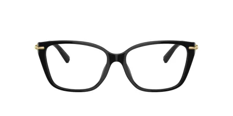 Tiffany TF 2248K 8402