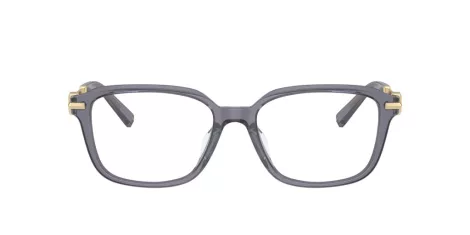 Tiffany TF 2253D 8405