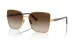 Vogue VO 4199S 507813